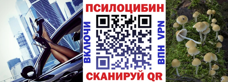 что такое Отрадное Галлюциногенные грибы MAGIC MUSHROOMS
